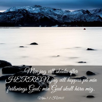 Picture 03 - Mika 7:7 SV1917 - Men jag vill skåda efter HERREN, jag vill hoppas - Bible Verse Picture