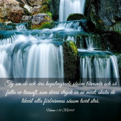 Picture 03 - Nahum 1:10 SV1917 - Ty om de ock äro hopslingrade såsom törnsnår - Bible Verse Picture