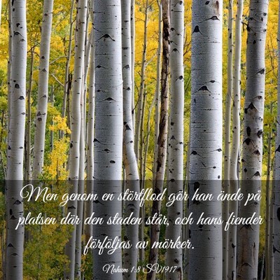 Picture 03 - Nahum 1:8 SV1917 - Men genom en störtflod gör han ände på - Bible Verse Picture