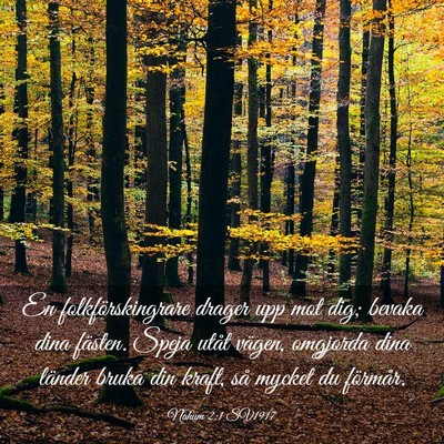 Picture 03 - Nahum 2:1 SV1917 - En folkförskingrare drager upp mot dig; bevaka - Bible Verse Picture
