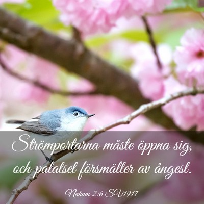 Picture 03 - Nahum 2:6 SV1917 - Strömportarna måste öppna sig, och palatset - Bible Verse Picture