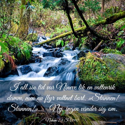 Picture 03 - Nahum 2:8 SV1917 - I all sin tid var Nineve lik en vattenrik damm, - Bible Verse Picture