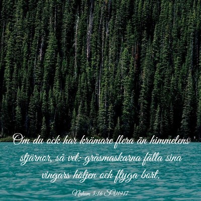 Picture 03 - Nahum 3:16 SV1917 - Om du ock har krämare flera än himmelens - Bible Verse Picture