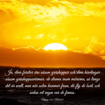 Picture 03 - Nahum 3:17 SV1917 - Ja, dina furstar äro såsom gräshoppor och dina - Bible Verse Picture