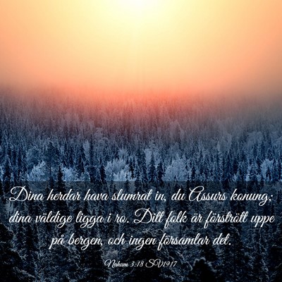 Picture 03 - Nahum 3:18 SV1917 - Dina herdar hava slumrat in, du Assurs konung; - Bible Verse Picture