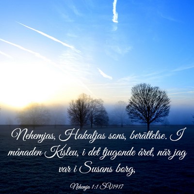 Picture 03 - Nehemja 1:1 SV1917 - Nehemjas, Hakaljas sons, berättelse. I månaden - Bible Verse Picture