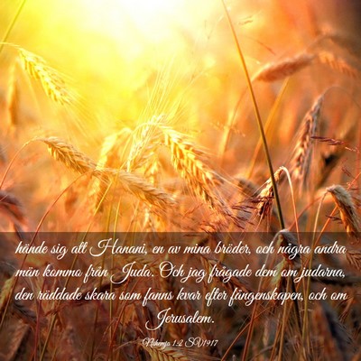 Picture 03 - Nehemja 1:2 SV1917 - hände sig att Hanani, en av mina bröder, och - Bible Verse Picture