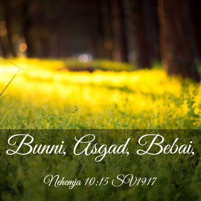 Picture 03 - Nehemja 10:15 SV1917 - Bunni, Asgad, - Bible Verse Picture