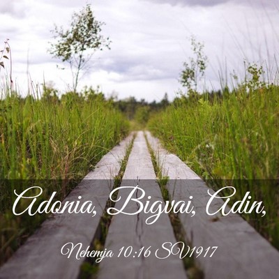 Picture 03 - Nehemja 10:16 SV1917 - Adonia, Bigvai, - Bible Verse Picture