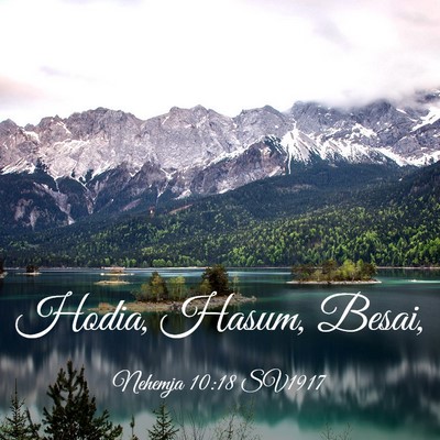 Picture 03 - Nehemja 10:18 SV1917 - Hodia, Hasum, - Bible Verse Picture