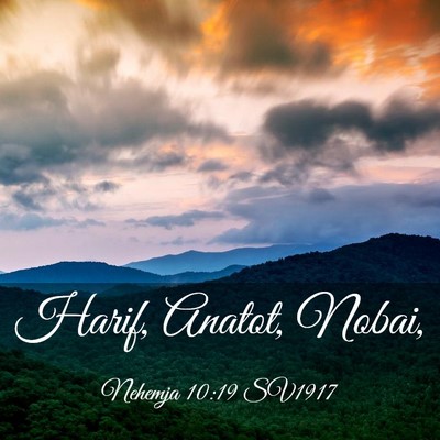 Picture 03 - Nehemja 10:19 SV1917 - Harif, Anatot, - Bible Verse Picture