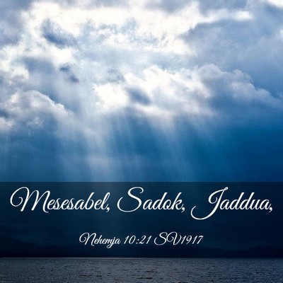 Picture 03 - Nehemja 10:21 SV1917 - Mesesabel, Sadok, - Bible Verse Picture