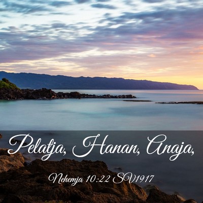 Picture 03 - Nehemja 10:22 SV1917 - Pelatja, Hanan, - Bible Verse Picture