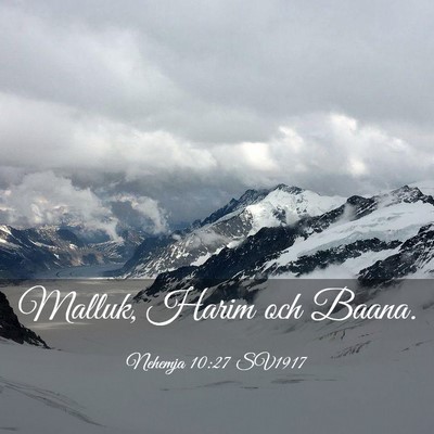 Picture 03 - Nehemja 10:27 SV1917 - Malluk, Harim och - Bible Verse Picture