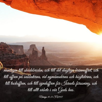 Picture 03 - Nehemja 10:33 SV1917 - nämligen till skådebröden, och till det - Bible Verse Picture