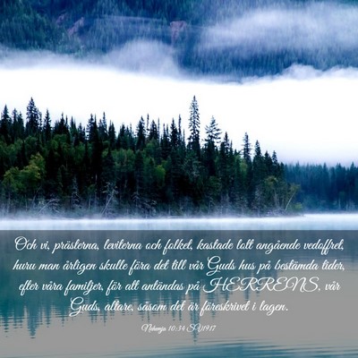 Picture 03 - Nehemja 10:34 SV1917 - Och vi, prästerna, leviterna och folket, kastade - Bible Verse Picture