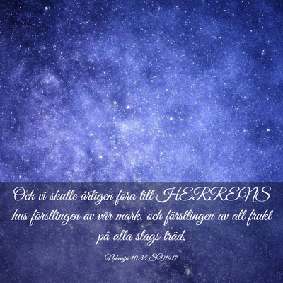 Picture 03 - Nehemja 10:35 SV1917 - Och vi skulle årligen föra till HERRENS hus - Bible Verse Picture