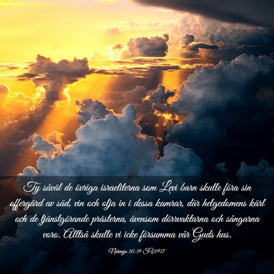 Picture 03 - Nehemja 10:39 SV1917 - Ty såväl de övriga israeliterna som Levi barn - Bible Verse Picture