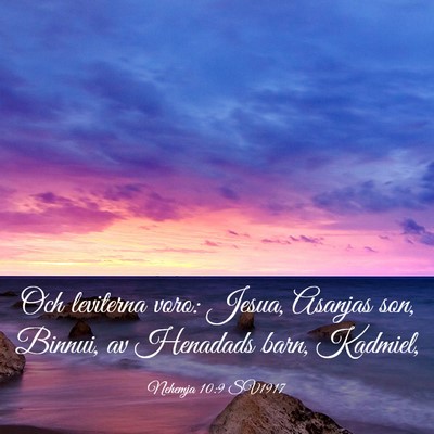 Picture 03 - Nehemja 10:9 SV1917 - Och leviterna voro: Jesua, Asanjas son, Binnui, - Bible Verse Picture