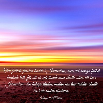 Picture 03 - Nehemja 11:1 SV1917 - Och folkets furstar bodde i Jerusalem; men det - Bible Verse Picture