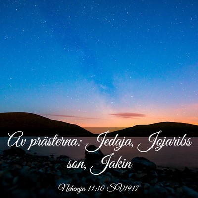 Picture 03 - Nehemja 11:10 SV1917 - Av prästerna: Jedaja, Jojaribs son, - Bible Verse Picture