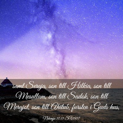 Picture 03 - Nehemja 11:11 SV1917 - samt Seraja, son till Hilkia, son till Mesullam, - Bible Verse Picture