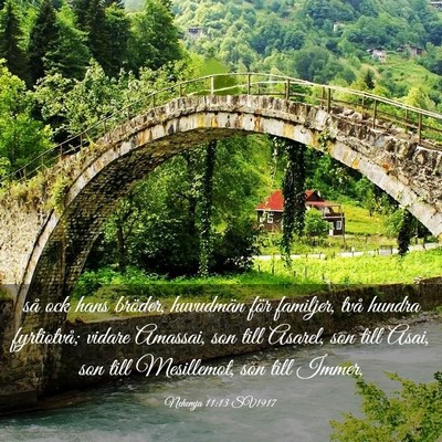 Picture 03 - Nehemja 11:13 SV1917 - så ock hans bröder, huvudmän för familjer, - Bible Verse Picture