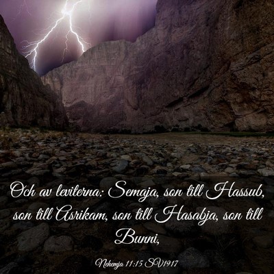 Picture 03 - Nehemja 11:15 SV1917 - Och av leviterna: Semaja, son till Hassub, son - Bible Verse Picture