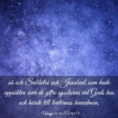 Picture 03 - Nehemja 11:16 SV1917 - så ock Sabbetai och Josabad, som hade uppsikten - Bible Verse Picture