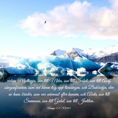 Picture 03 - Nehemja 11:17 SV1917 - vidare Mattanja, son till Mika, son till Sabdi, - Bible Verse Picture