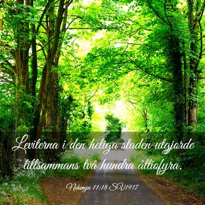 Picture 03 - Nehemja 11:18 SV1917 - Leviterna i den heliga staden utgjorde - Bible Verse Picture