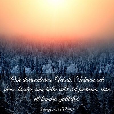 Picture 03 - Nehemja 11:19 SV1917 - Och dörrvaktarna, Ackub, Talmon och deras - Bible Verse Picture