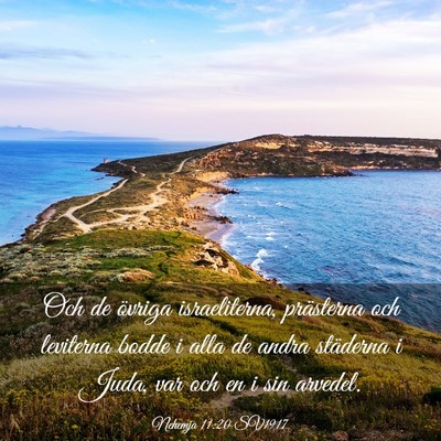 Picture 03 - Nehemja 11:20 SV1917 - Och de övriga israeliterna, prästerna och - Bible Verse Picture