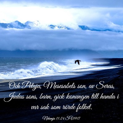 Picture 03 - Nehemja 11:24 SV1917 - Och Petaja, Mesesabels son, av Seras, Judas sons, - Bible Verse Picture