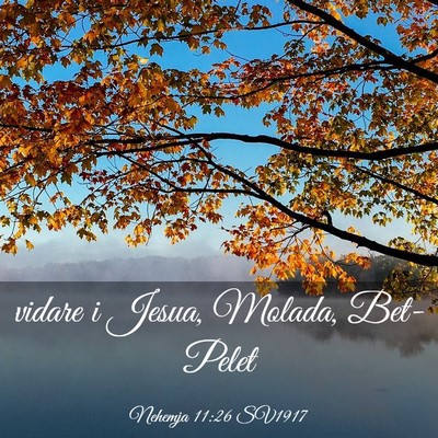 Picture 03 - Nehemja 11:26 SV1917 - vidare i Jesua, Molada, - Bible Verse Picture