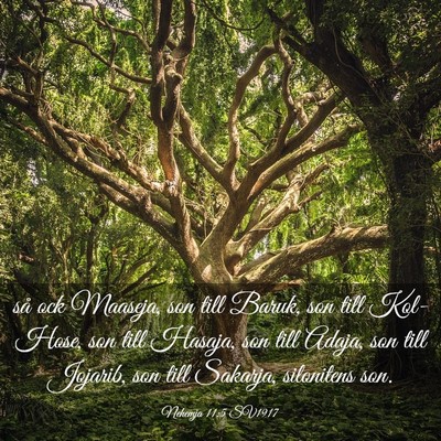 Picture 03 - Nehemja 11:5 SV1917 - så ock Maaseja, son till Baruk, son till - Bible Verse Picture