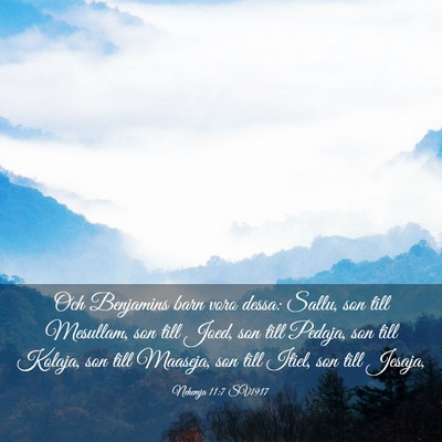 Picture 03 - Nehemja 11:7 SV1917 - Och Benjamins barn voro dessa: Sallu, son till - Bible Verse Picture