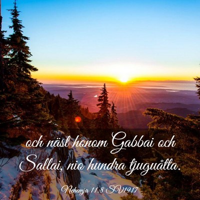Picture 03 - Nehemja 11:8 SV1917 - och näst honom Gabbai och Sallai, nio hundra - Bible Verse Picture