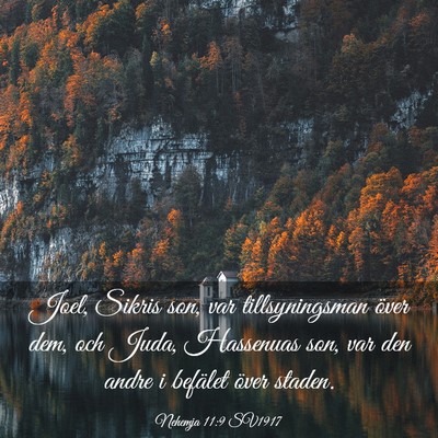 Picture 03 - Nehemja 11:9 SV1917 - Joel, Sikris son, var tillsyningsman över dem, - Bible Verse Picture