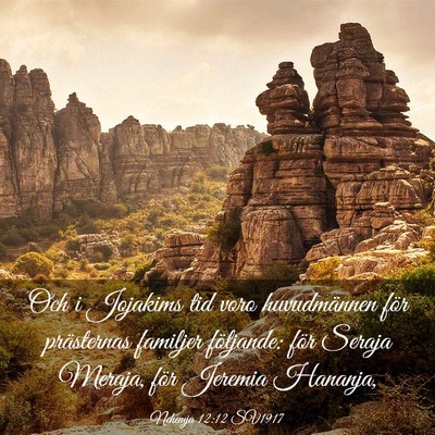 Picture 03 - Nehemja 12:12 SV1917 - Och i Jojakims tid voro huvudmännen för - Bible Verse Picture