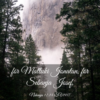 Picture 03 - Nehemja 12:14 SV1917 - för Malluki Jonatan, för Sebanja - Bible Verse Picture