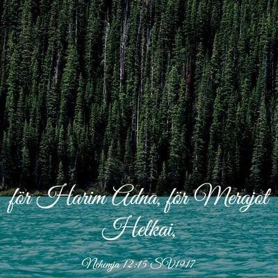 Picture 03 - Nehemja 12:15 SV1917 - för Harim Adna, för Merajot - Bible Verse Picture