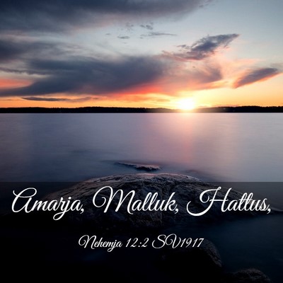 Picture 03 - Nehemja 12:2 SV1917 - Amarja, Malluk, - Bible Verse Picture