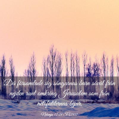 Picture 03 - Nehemja 12:28 SV1917 - Då församlade sig sångarnas barn såväl från - Bible Verse Picture