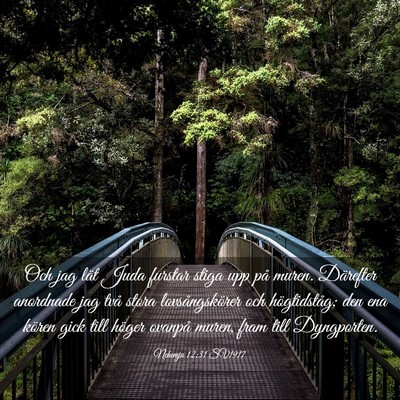 Picture 03 - Nehemja 12:31 SV1917 - Och jag lät Juda furstar stiga upp på muren. - Bible Verse Picture