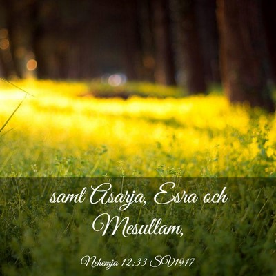 Picture 03 - Nehemja 12:33 SV1917 - samt Asarja, Esra och - Bible Verse Picture