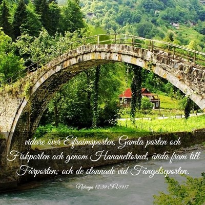 Picture 03 - Nehemja 12:39 SV1917 - vidare över Efraimsporten, Gamla porten och - Bible Verse Picture
