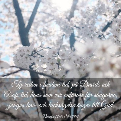 Picture 03 - Nehemja 12:46 SV1917 - Ty redan i fordom tid, på Davids och Asafs tid, - Bible Verse Picture