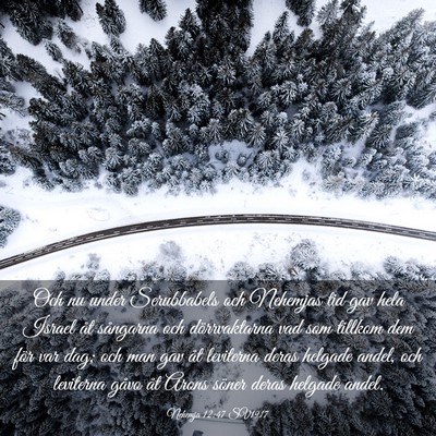 Picture 03 - Nehemja 12:47 SV1917 - Och nu under Serubbabels och Nehemjas tid gav - Bible Verse Picture