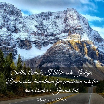 Picture 03 - Nehemja 12:7 SV1917 - Sallu, Amok, Hilkia och Jedaja. Dessa voro - Bible Verse Picture